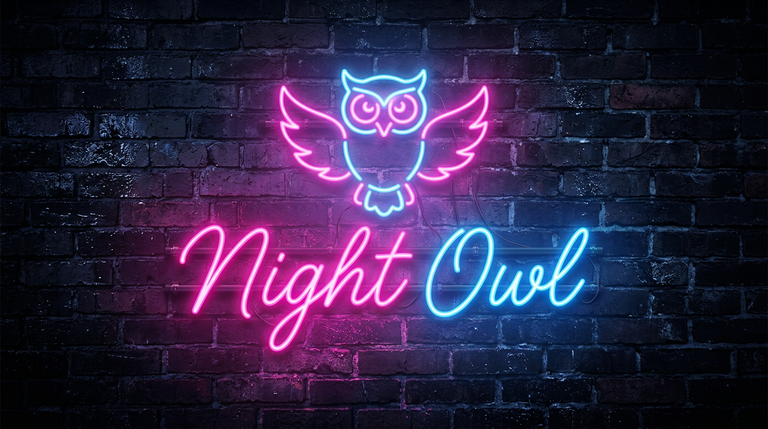 暗いレンガの壁に、ピンクのフクロウのマークと、ピンクと水色のネオン管で筆記体のNight Owlの文字が光る看板